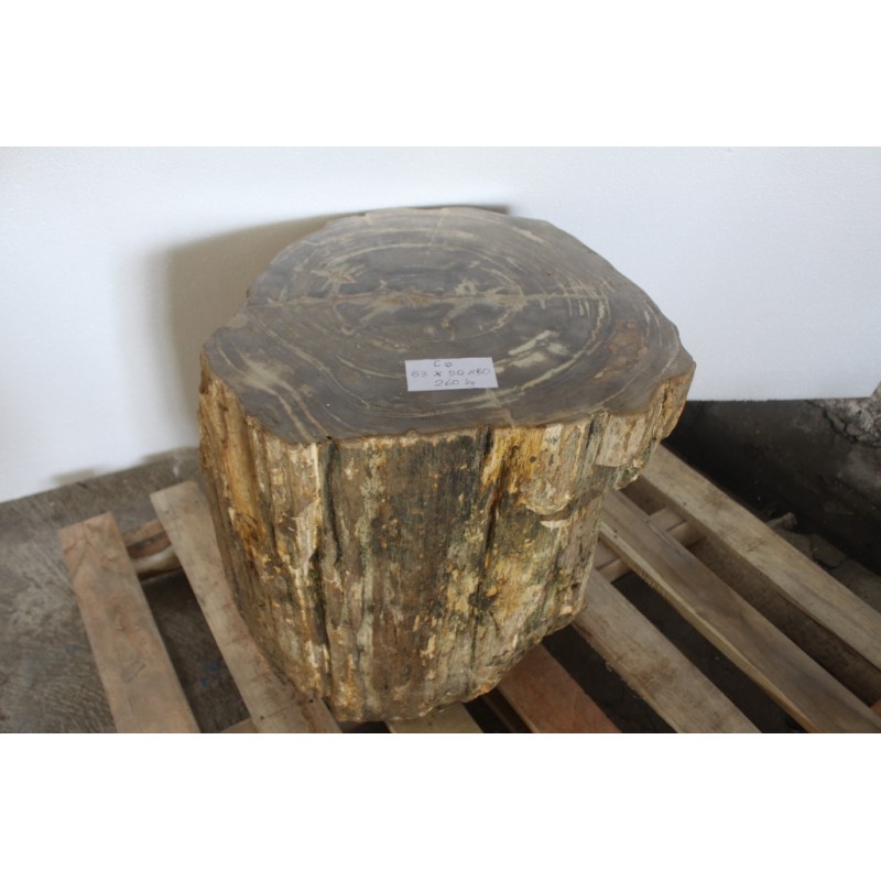 PETRIFIED WOOD STOOL OR TABLE - MEDIUM (451-600 LBS)
